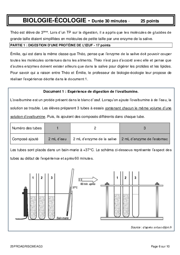📝DNB_Sept2025_svt_metropole_serieprofessionnelleagricole_proteinesdeloeufsdigestionintoleranceetallergie.pdf
